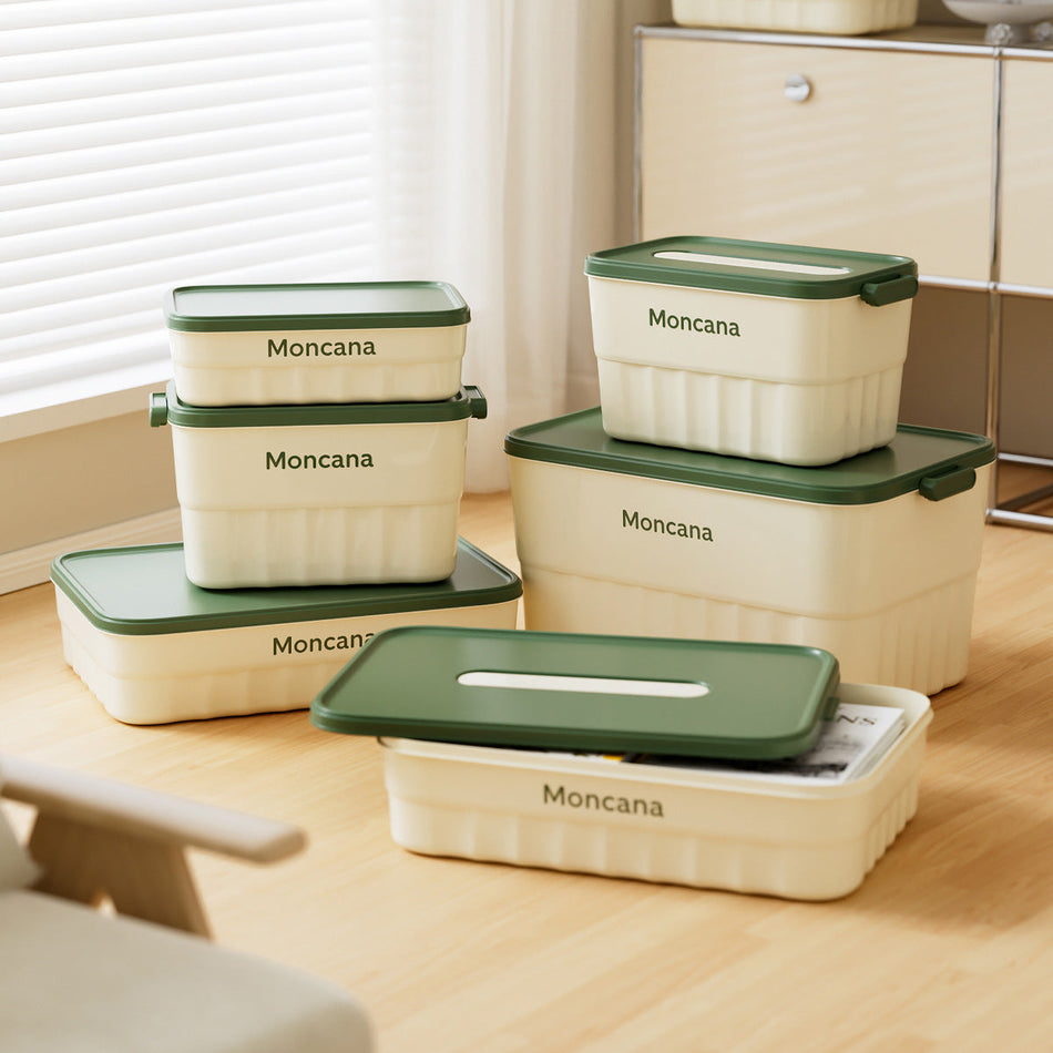 Thickened Storage Box with Lid | Large Capacity Organizer