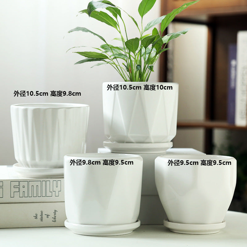 Large Ceramic-Style Flower Pot for Green Plants