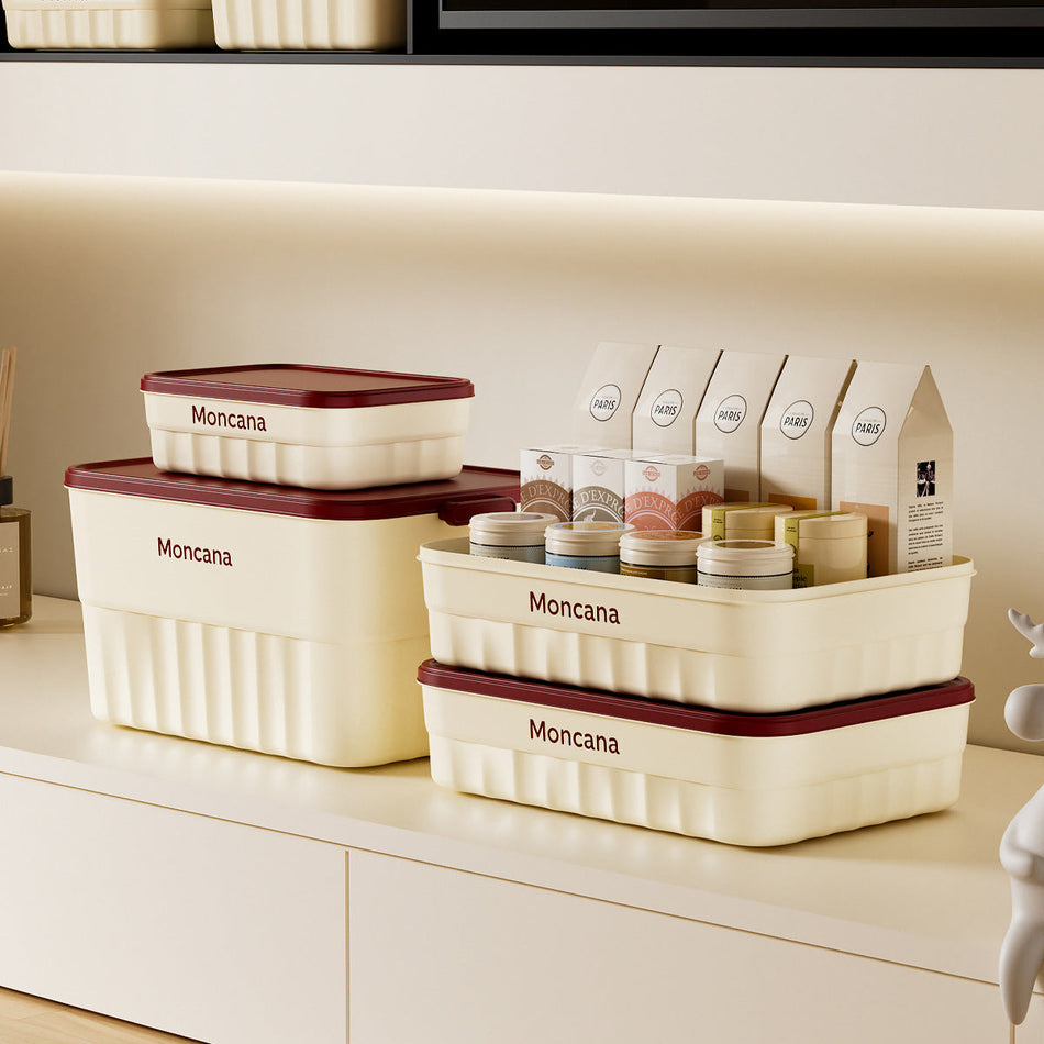 STOCK-Thickened Storage Box with Lid | Large Capacity Organizer