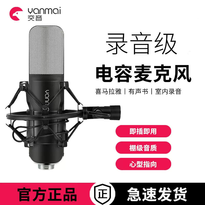 48V Phantom Power Condenser Microphone for K-Song & Live