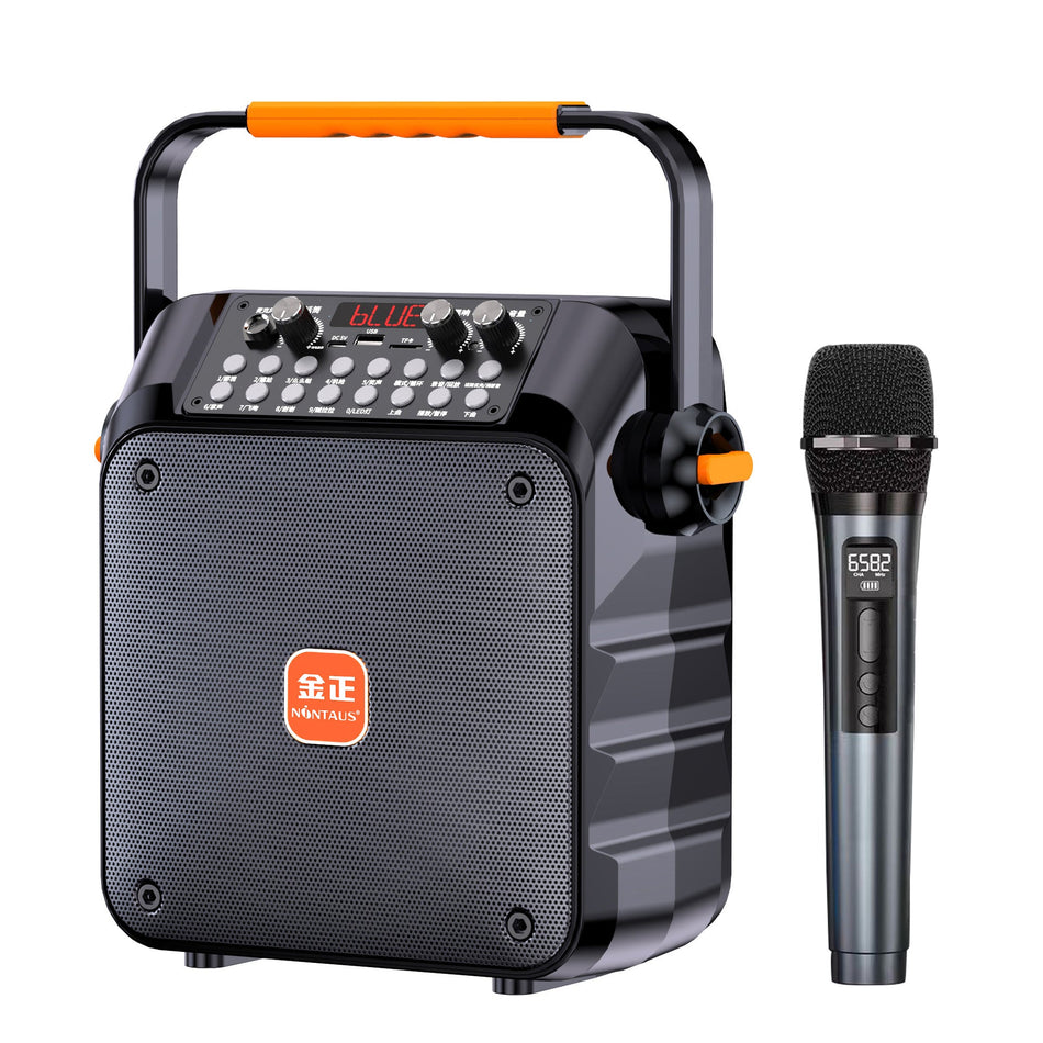 Outdoor Karaoke Bluetooth Speaker with Mic