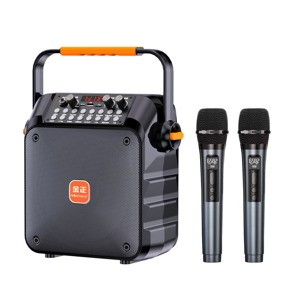 Outdoor Karaoke Bluetooth Speaker with Mic