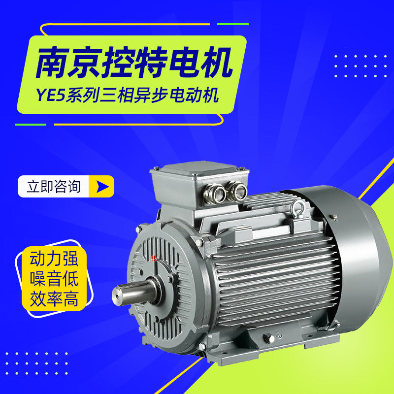 YE5 Series 22-30kW Three-Phase Asynchronous Motor