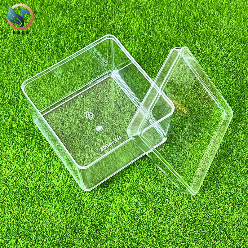 Transparent Plastic Square Food Display Box with Lid