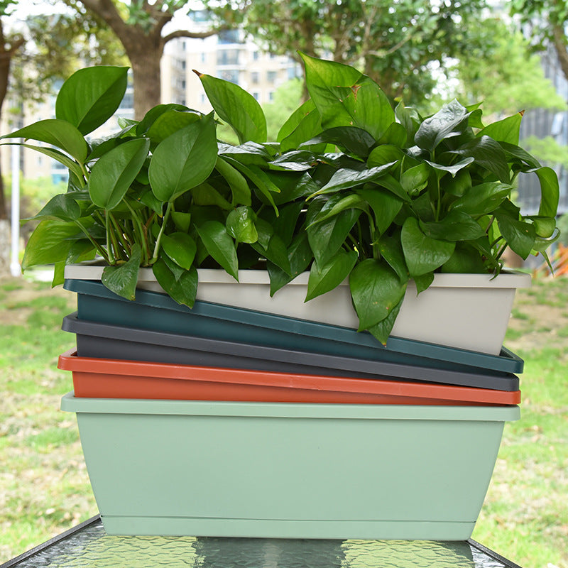 STOCK-Hollen Rectangular Plastic Vegetable Planter Bo