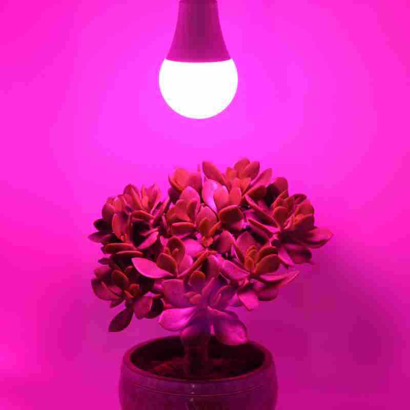 LED Full Spectrum Plant Bulb E27 7W 9W 11W Growth Light