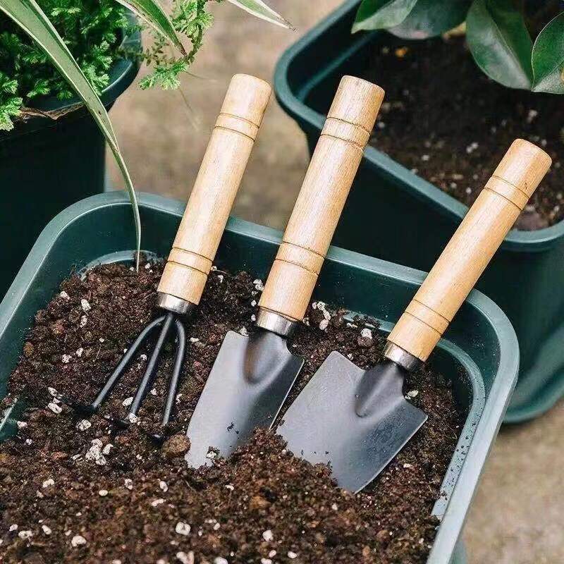 Delixi Gardening Shovel Set – Complete Home Floriculture Tools