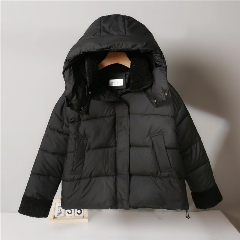 STOCK-Maillard Coffee Down Cotton Jacket