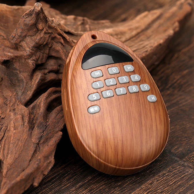 Rechargeable Home Classical Music Player Neck Hanging Portable