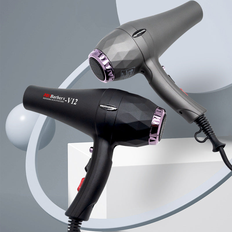 Pro Salon Hair Dryer with Hot & Cold Settings
