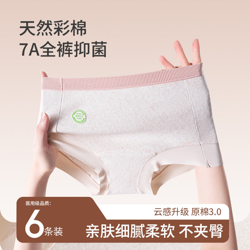 Plus Size Cotton Boxer Panties Pack of 5