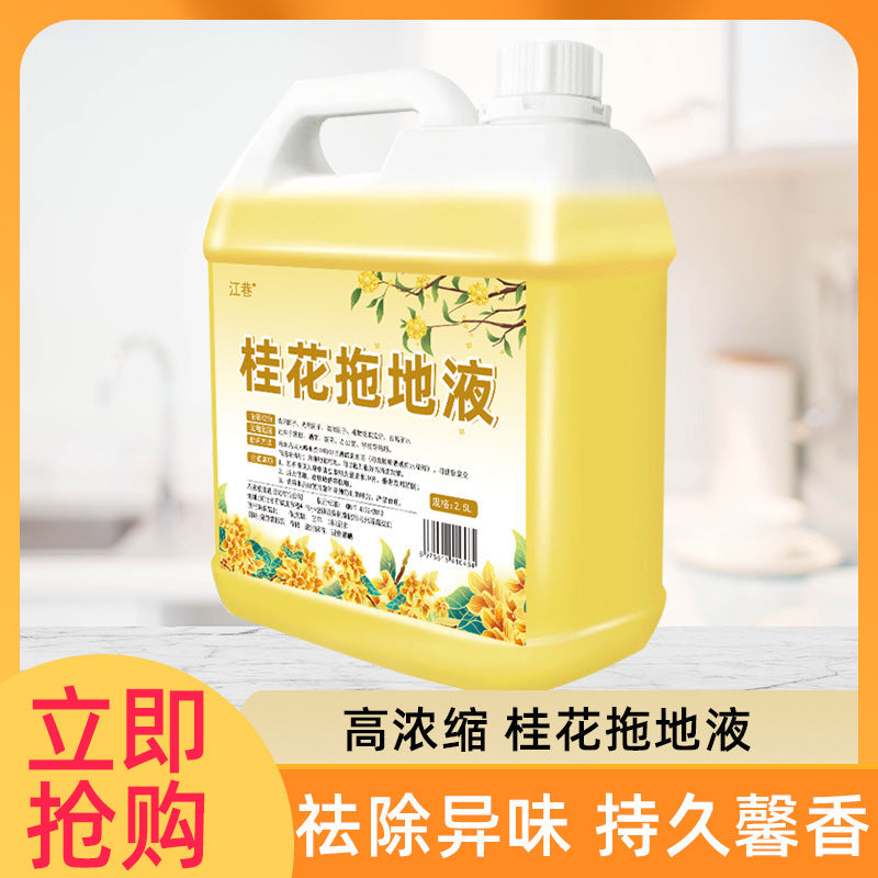 Osmanthus Toilet & Floor Cleaner Antibacterial Deodorant Bulk