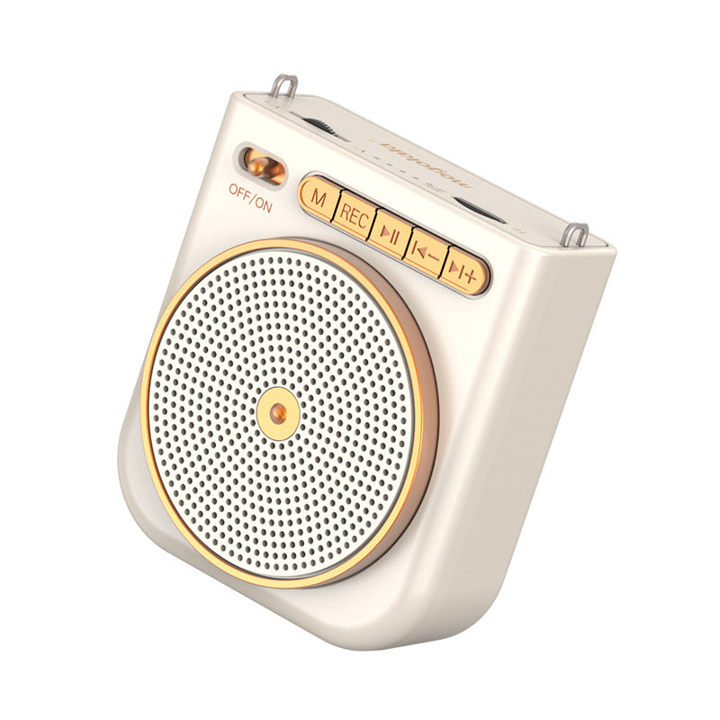 Bee Wireless Microphone – High-Volume Teacher Mic