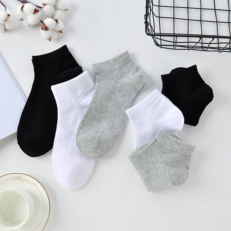 PACK OF - 6 Wormwood Aromatherapy Mens Deodorant Socks – Gift Box