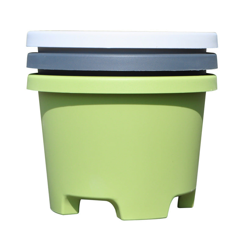 Low Resin Flower Pot – Tulip, Lily & Bulb Planter