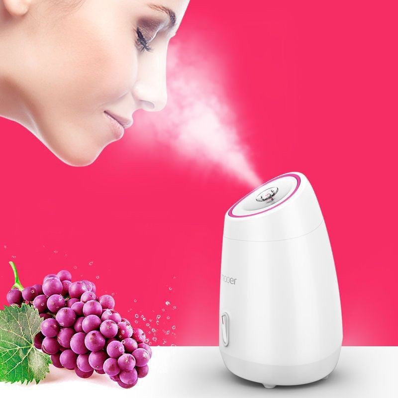 Maoer Fruit & Vegetable Facial Steamer Nano Hot Spray Hydration