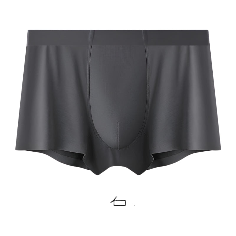 PACK OF - 6 Men's Mulberry Silk Boxer Briefs – Seamless &