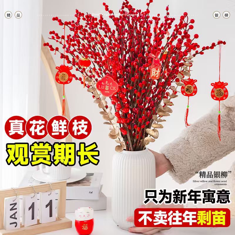 Silver Willow Fresh & Dried Flower Branches New Year Decor