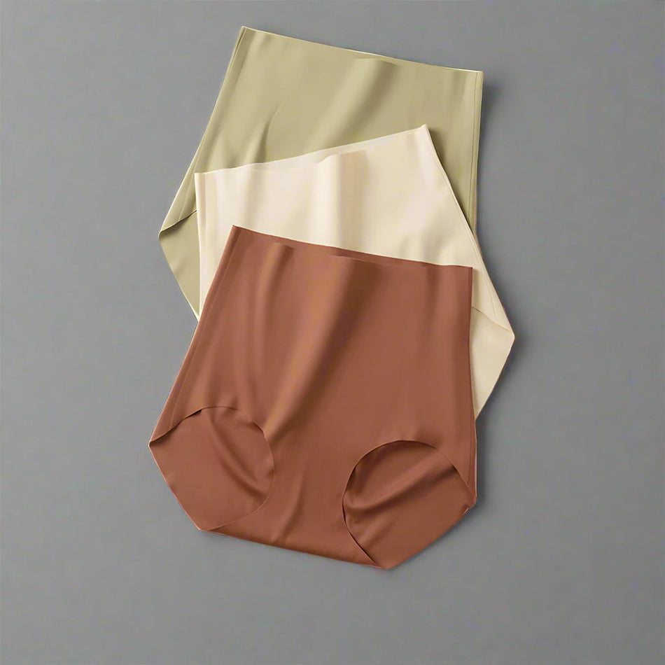 PACK OF - 4 High Waist Body Shaping Aloe Vera Briefs – Belly