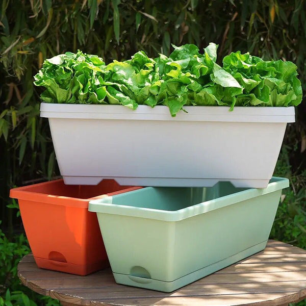 STOCK-Hollen Balcony Vegetable Pot – Large Thick Plastic Planter