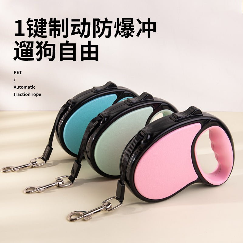 Automatic Retractable Dog Leash 5m for Small & Medium Dogs